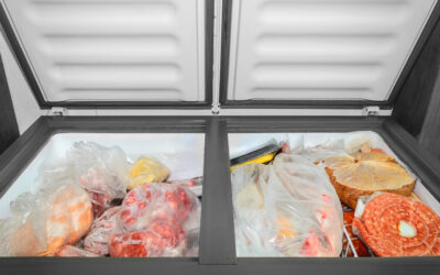 Congelatori a pozzetto o verticali: quale scegliere per la tua casa?